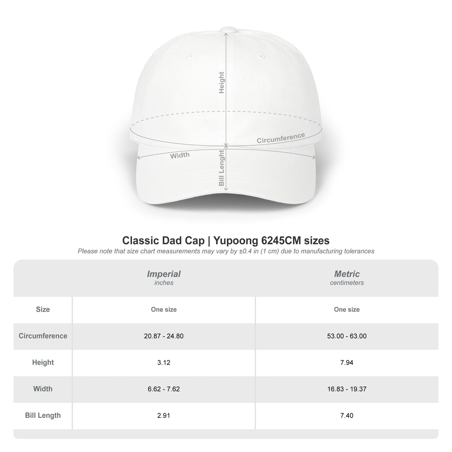 Probably Late embroidered Dad Cap | White baseball hat, sarcastic text