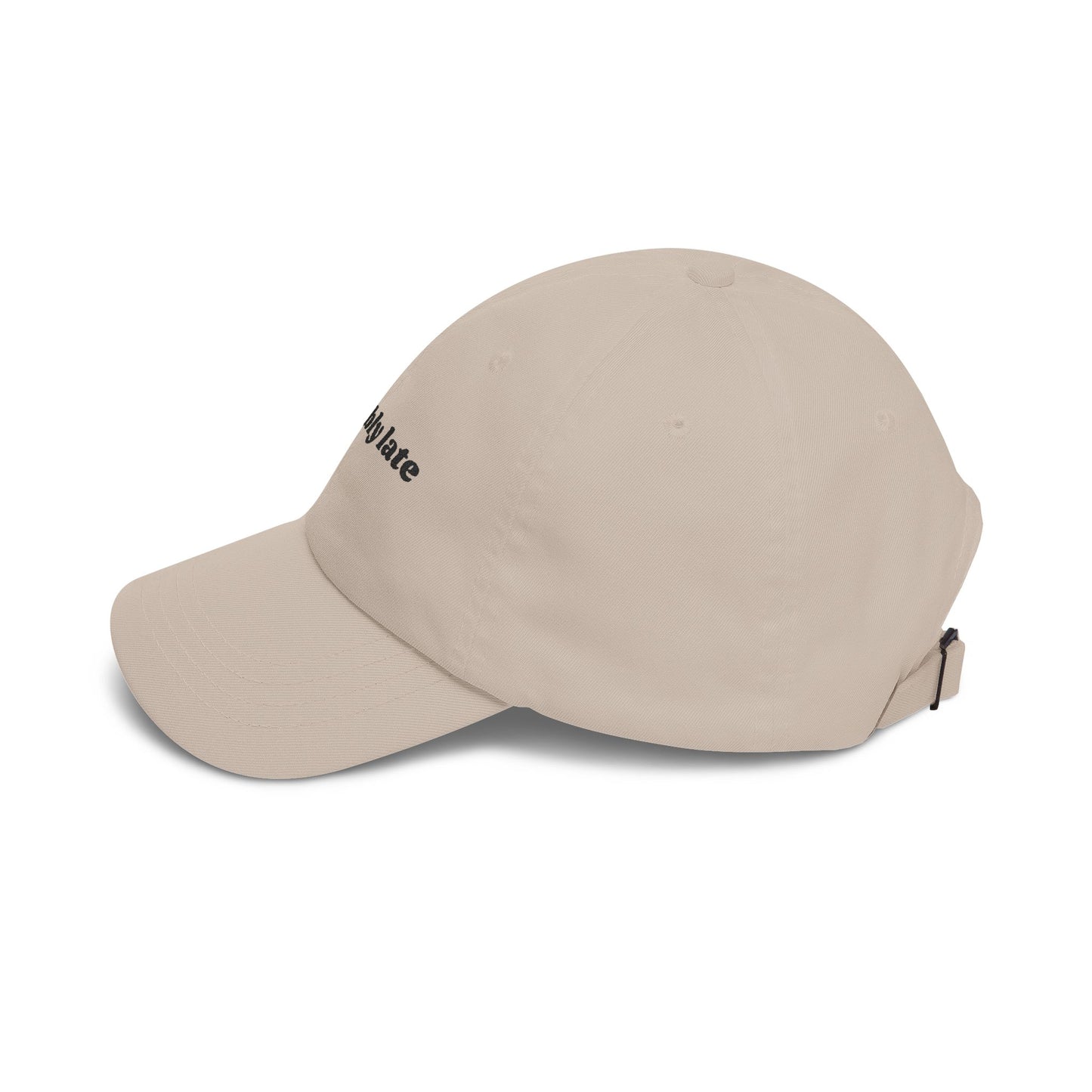 Probably Late embroidered Dad Cap | White baseball hat, sarcastic text